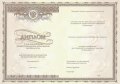 Диплом об окончании интернатуры (Киржач) c 2013 по 2025 годы