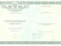 Медицинский сертификат специалиста с 2013 по 2025 годы